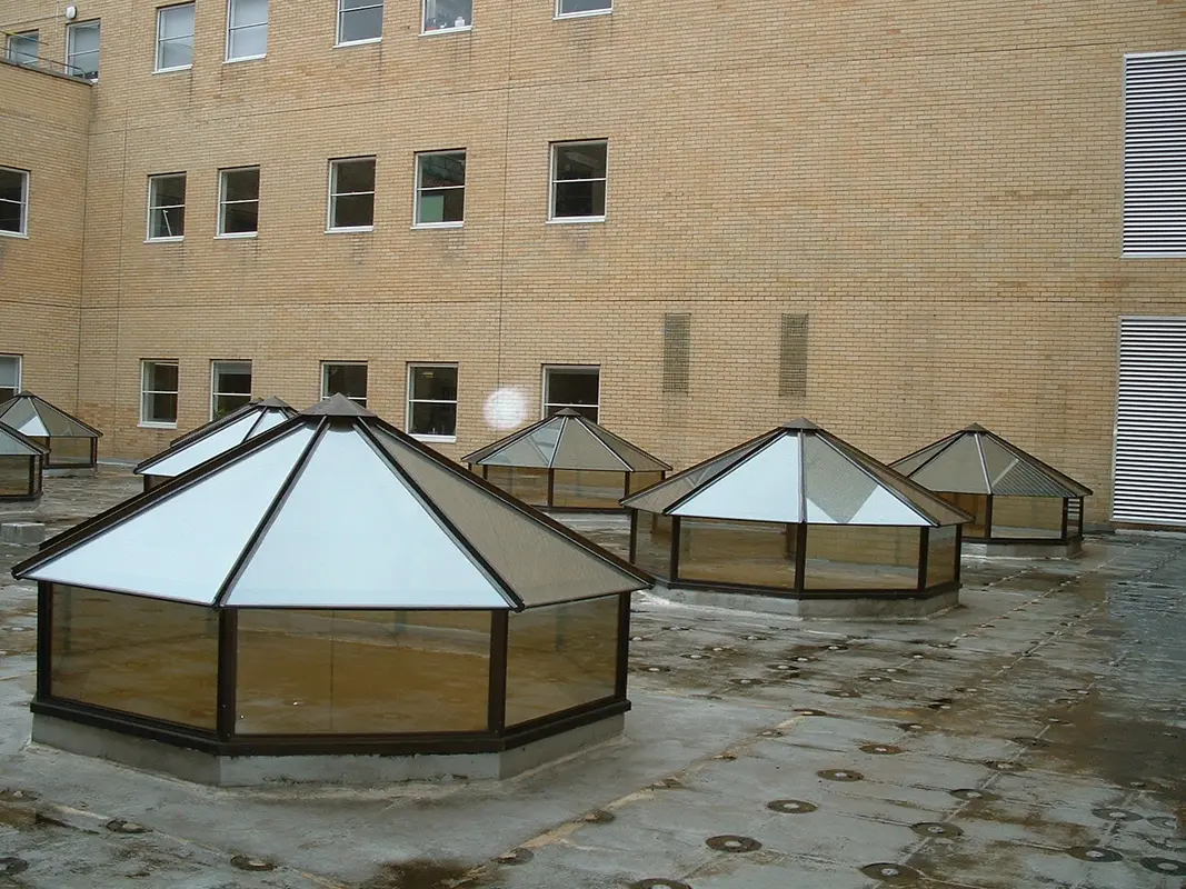 Flat Roof Skylights Notting Hill
